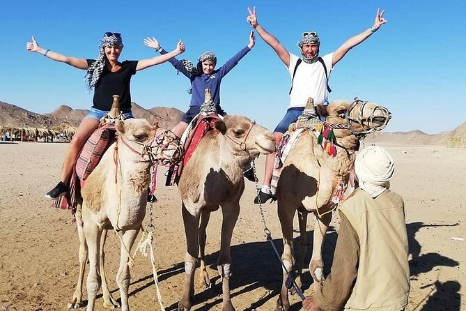 Hurghada Safari Trip — Quad, Buggy, Jeep, Camel, Dinner & Show