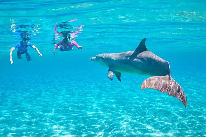 Dolphin House Snorkeling Sea Trip — Ultimate Adventure Hurghada
